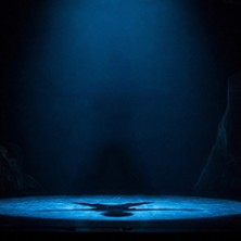 PETER PAN (3-10 ANS)