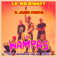 Les Wampas + Invit&eacute;s