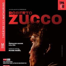 Roberto Zucco - Th&eacute;&acirc;tre des Mathurins, Paris 2026