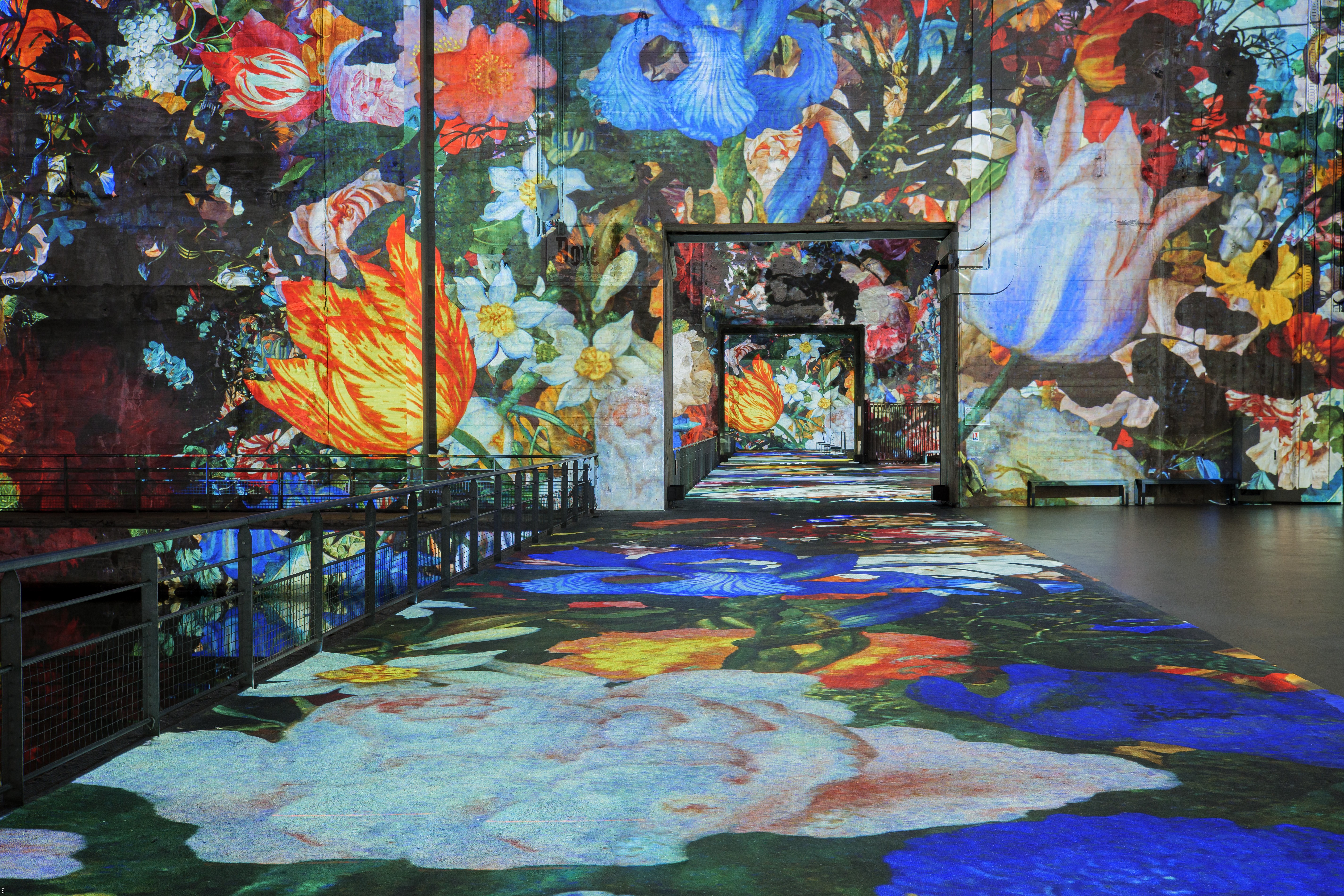 &copy; Culturespaces / Vincent Pinson