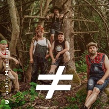 Steve'n'Seagulls