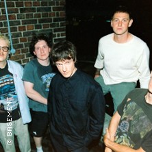 Basement + Fiddlehead