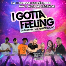 I GOTTA FEELING LA TOURNEE DES ANNEES 2000