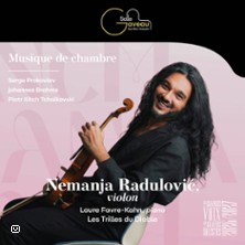 Nemanja Radulovic