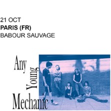 ANY YOUNG MECHANIC