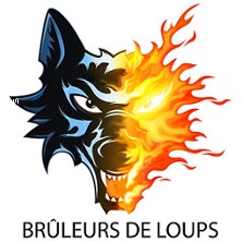 Grenoble Hockey