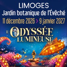L'ODYSSEE LUMINEUSE Limoges - Billet non dat&eacute;