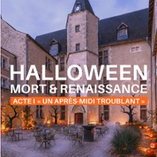Beaugency, Ch&acirc;teau de Lumi&egrave;res