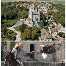 Pass Provins + Spectacle Les Aigles 26