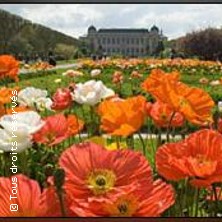 JARDIN DES PLANTES PARIS 05