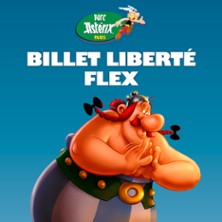 Parc Ast&eacute;rix - Billet Dat&eacute; Flex 2026